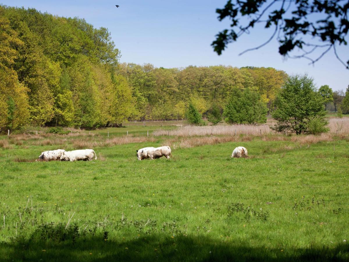 Magnificent Farmhouse In Sint Joost Bagian luar foto